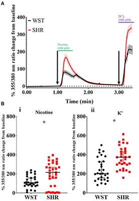 Macrophages Can Drive Sympathetic Excitability in the Early Stages of Hypertension